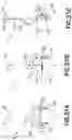 Fig. 27 - Material handling robot