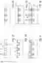 Fig. 05 - INTERCONNECT STRUCTURES AND METHODS FOR FORMING SAME