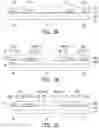 Fig. 07 - Redistribution structure and forming method thereof
