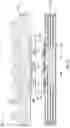 Fig. 12 - Leadless power amplifier packages including topside terminations and methods for the fabrication thereof