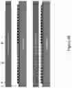 Fig. 14 - Selective micro device transfer to receiver substrate