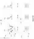 Fig. 37 - Selective micro device transfer to receiver substrate