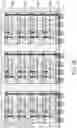 Fig. 12 - Package method of a modular stacked semiconductor package