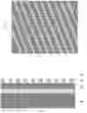 Fig. 05 - Manufacturing method of semiconductor device
