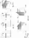 Fig. 16 - 3D memory devices and structures with thinned single crystal substrates