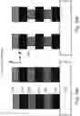 Fig. 27 - 3D memory devices and structures with thinned single crystal substrates