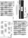 Fig. 35 - 3D memory devices and structures with thinned single crystal substrates
