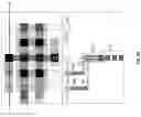 Fig. 13 - Coaxial contacts for 3D logic and memory