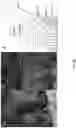 Fig. 31 - Apparatus for integrated microwave photonics on a sapphire platform, method of forming same, and applications of same