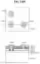 Fig. 115 - Light emitting diode stack including hydrophilic material layer