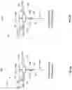 Fig. 04 - Crossbar array circuits with 2T1R RRAM cells for low voltage operations
