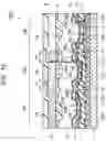 Fig. 12 - Electronic device, display apparatus, photoelectric conversion apparatus, electronic equipment, illumination apparatus, and moving object