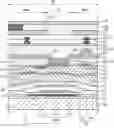 Fig. 01 - Display device including black layer corresponding to interval between adjacent branches and method of manufacturing the same