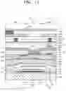 Fig. 12 - Display device including black layer corresponding to interval between adjacent branches and method of manufacturing the same