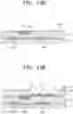 Fig. 15 - Display device including black layer corresponding to interval between adjacent branches and method of manufacturing the same