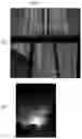 Fig. 02 - Display device having a sensor disposed under the display panel