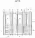 Fig. 03 - Light emitting display panel and light emitting display apparatus using the same