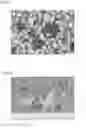 Fig. 12 - METHOD OF PRODUCING ELECTRODE, METHOD OF PRODUCING BATTERY, ELECTRODE, AND BATTERY