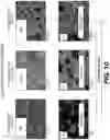 Fig. 14 - SURFACE COATED POROUS SUBSTRATES AND PARTICLES AND SYSTEMS AND METHODS THEREOF