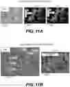 Fig. 15 - SURFACE COATED POROUS SUBSTRATES AND PARTICLES AND SYSTEMS AND METHODS THEREOF