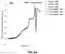 Fig. 14 - Metal amide bases as electrolyte additives for Si anode-based Li-ion batteries
