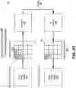 Fig. 27 - METHOD AND APPARATUS FOR VIDEO CODING