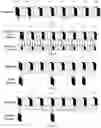 Fig. 02 - Methods and apparatus of bitstream verifying and decoding