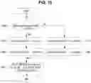 Fig. 11 - Video coding method and device which use sub-block unit intra prediction
