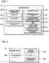 Fig. 06 - Control method for server apparatus, delivery system, and recording medium
