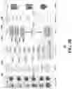 Fig. 04 - Apparatus and method for allocating media content slots across disparate media supply channel systems
