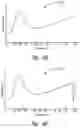 Fig. 11 - Passive speaker authentication