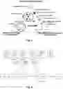 Fig. 04 - User equipment and scheduling device