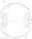 Fig. 04 - Pet toy
