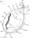 Fig. 01 - Animal restraint
