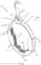 Fig. 22 - Animal restraint