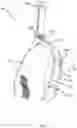 Fig. 25 - Animal restraint