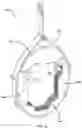 Fig. 26 - Animal restraint