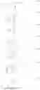 Fig. 45 - Pyrrolidinones as herbicides