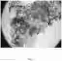 Fig. 02 - Agglomerated Flavor Composition