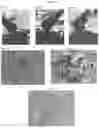Fig. 02 - Bran based ingredient for foodstuffs