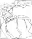 Fig. 01 - Methods of attaching and removing a hair extension