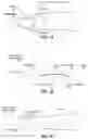 Fig. 02 - Light-curable artificial nails, methods of preparation and methods of use thereof