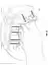 Fig. 09 - Light-curable artificial nails, methods of preparation and methods of use thereof