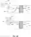 Fig. 08 - Devices for supplying fluids to cut plant holders