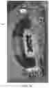 Fig. 37 - DEVICE FOR CLEANING