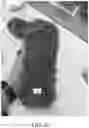 Fig. 38 - DEVICE FOR CLEANING