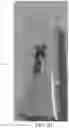 Fig. 42 - DEVICE FOR CLEANING