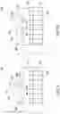 Fig. 07 - Dishwasher chopstick tray