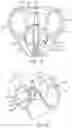 Fig. 11 - ACCESS DEVICE