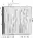 Fig. 26 - Ocular surface interferometry (OSI) for imaging, processing, and/or displaying an ocular tear film
